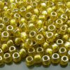 10g 1013 Silver Lined Citrus Toho Seed Beads 3/0 5.5mm Michael's UK Jewellery