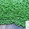 20g TOHO Beads 130 Opaque Mint Green Luster 11/0 beads mouse