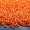 TOHO Seed Beads 174BF Transparent Rainbow Frosted Hyacinth 8/0 beads mouse