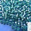 10g 2202 Silver Lined Transparent Green Toho Seed Beads 6/0 4mm Michael's UK Jewellery