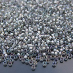 10g 261 Inside Color Rainbow Crystal/Gray Lined Toho Takumi Seed Beads 11/0 2mm Michael's UK Jewellery