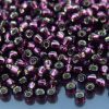 TOHO Seed Beads 26C Silver Lined Amethyst 6/0 beads mouse