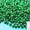 TOHO Seed Beads 27B Silver Lined Grass Green 6/0 beads mouse
