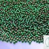10g 36 Silver Lined Green Emerald Toho Seed Beads 11/0 2.2mm Michael's UK Jewellery