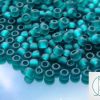 10g 7BDF Transparent Teal Frosted Toho Seed Beads 6/0 4mm Michael's UK Jewellery