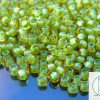 10g 945 Inside Color Jonquil/Mint Julep Lined Toho Seed Beads 6/0 4mm Michael's UK Jewellery