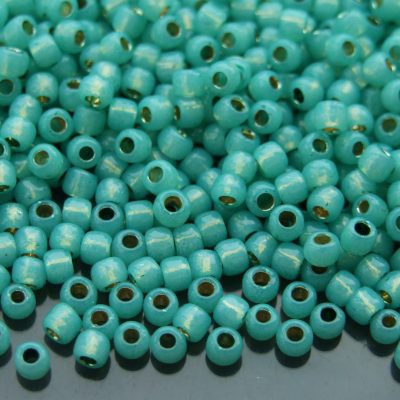 10g PF2119 PermaFinish Translucent Silver Lined Dark Peridot Toho Seed Beads 6/0 4mm Michael's UK Jewellery