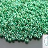 TOHO Seed Beads PF561 PermaFinish Galvanized Green Teal 8/0 beads mouse