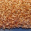 5g PF551 Perma Finish Galvanized Rose Gold Toho Aiko Seed Beads 11/0 1.8mm Michael's UK Jewellery