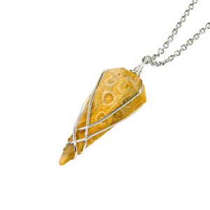 Pendulum Fossil Coral Necklace Natural Gemstone Stainless Steel Chain with Pouch Michael's UK Jewellery