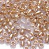 TOHO Seed Beads 989 Golden Lined Crystal beads mouse
